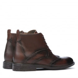 Botas para hombres 494 a café