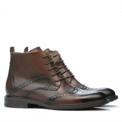 Botas para hombres 494 a café