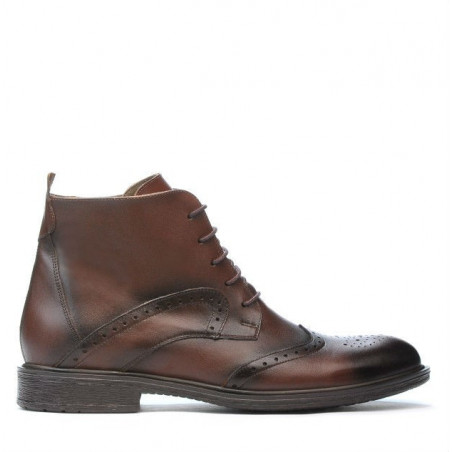 Botas para hombres 494 a café
