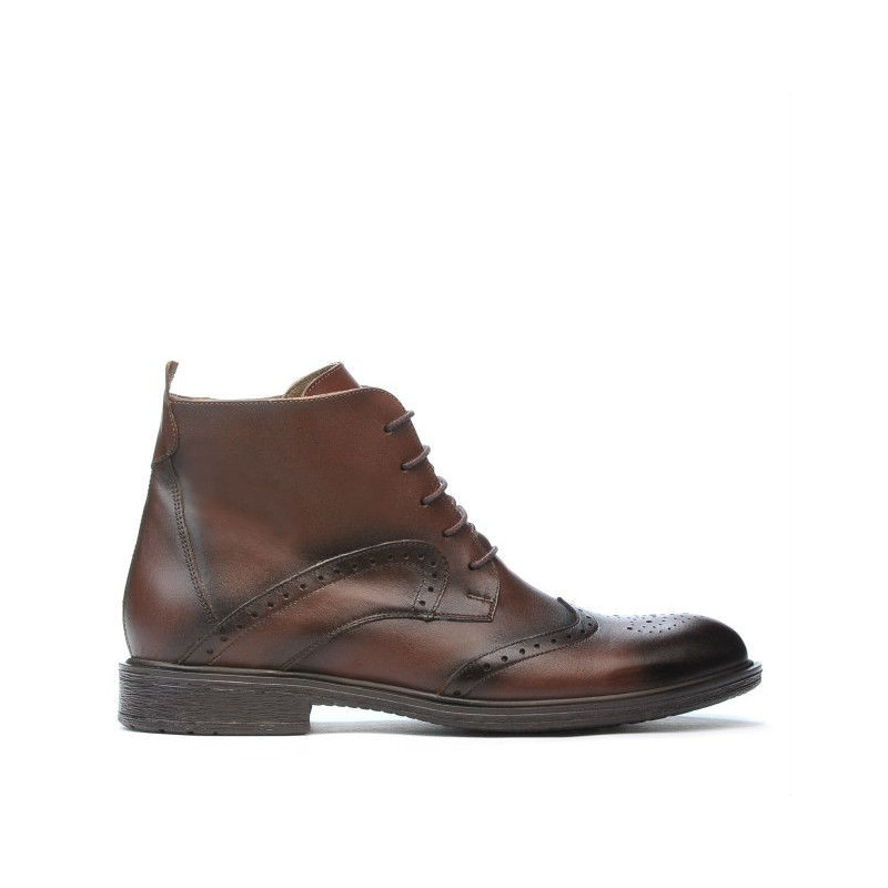 Botas para hombres 494 a café