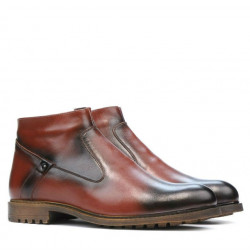 Botas para hombre 4102 a marrón
