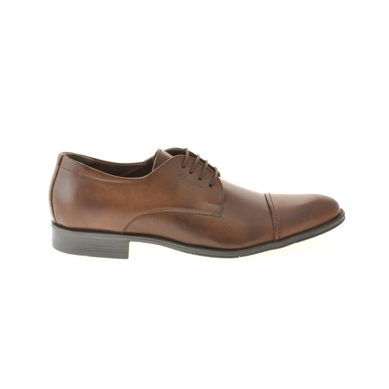 Zapatos elegantes para hombres 785 marrón