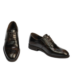 Zapatos elegantes para hombre 959 a café florantic