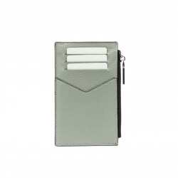 Tarjetero 209g 01 biz gris